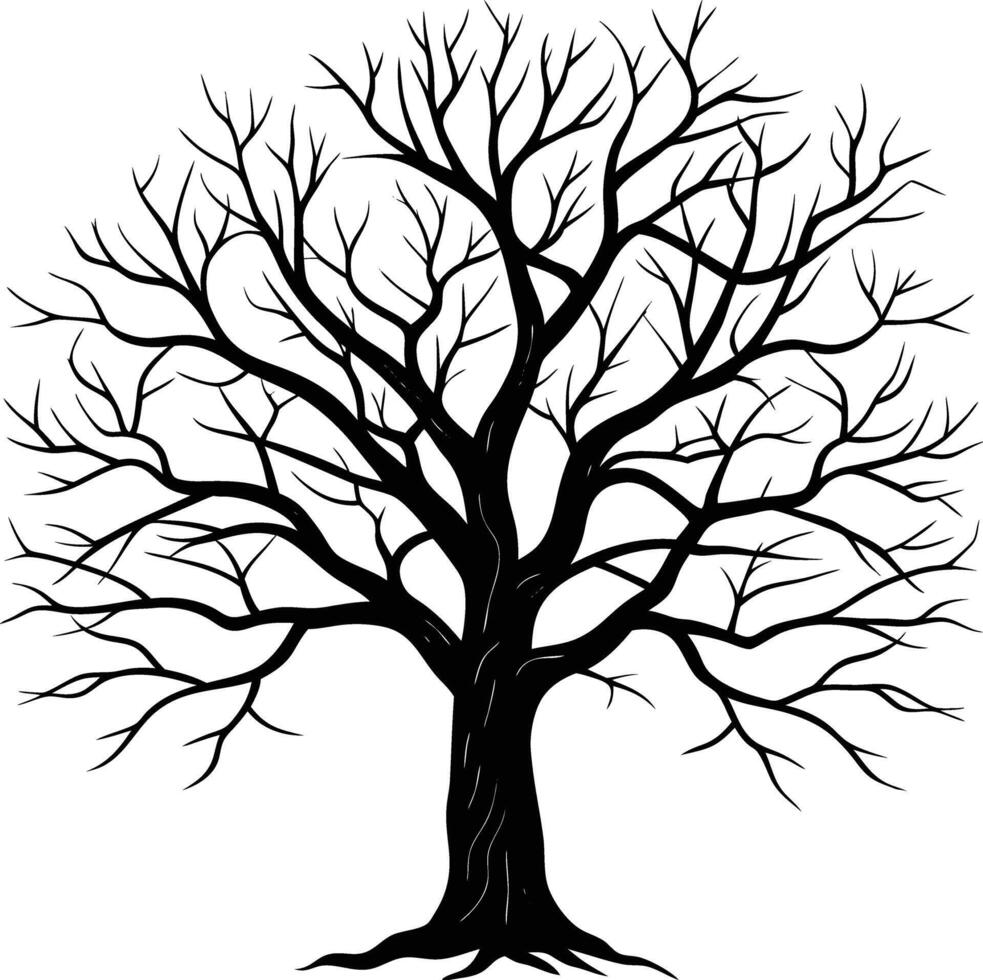 A black and white bare tree silhouette with no leaves vector