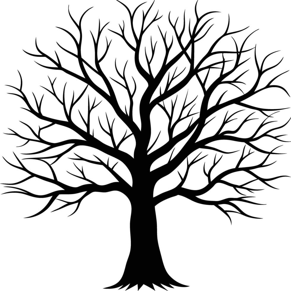 A black and white bare tree silhouette with no leaves vector