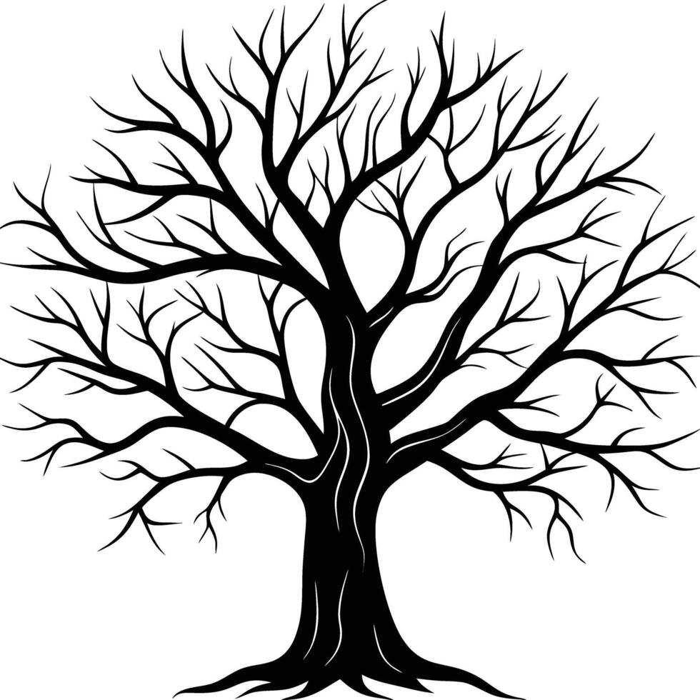 A black and white bare tree silhouette with no leaves vector