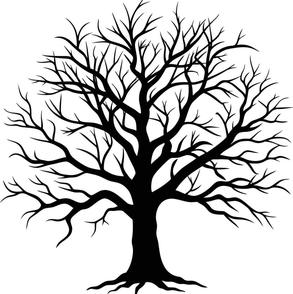 A black and white bare tree silhouette with no leaves vector