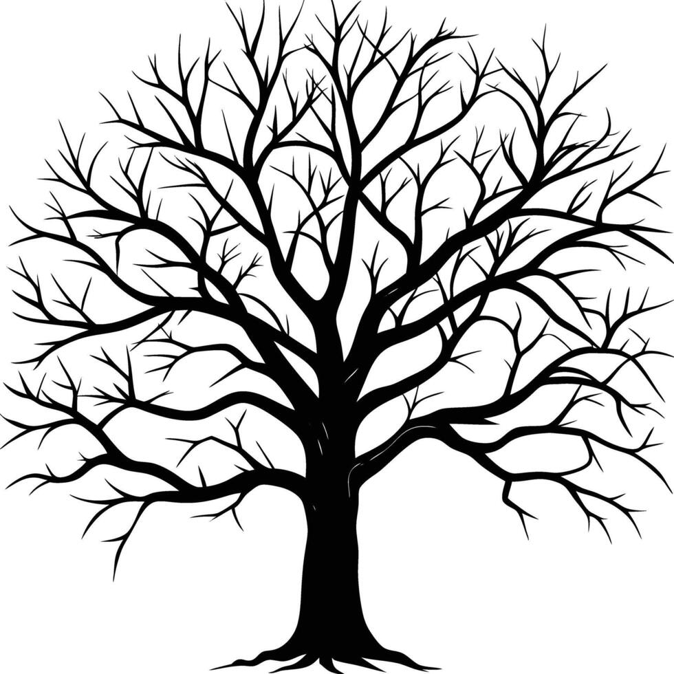 A black and white bare tree silhouette with no leaves vector