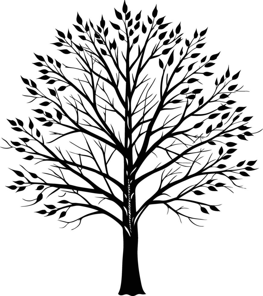 A black and white birch Tree Silhouette with leaves vector