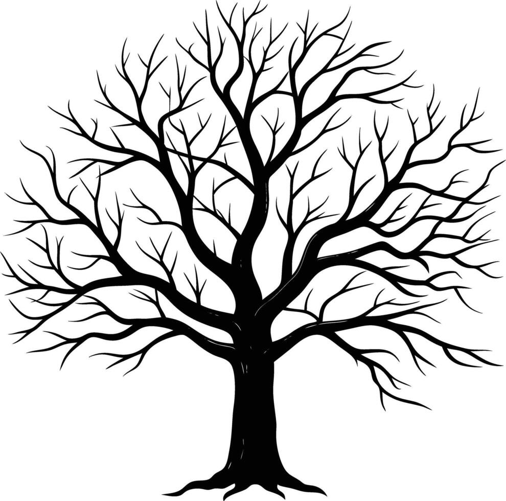 A black and white bare tree silhouette with no leaves vector