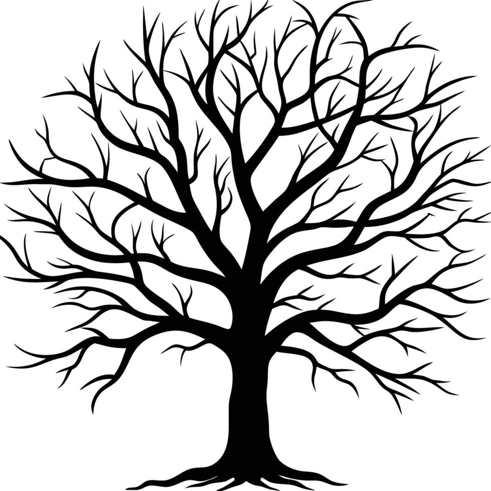 A black and white bare tree silhouette with no leaves vector