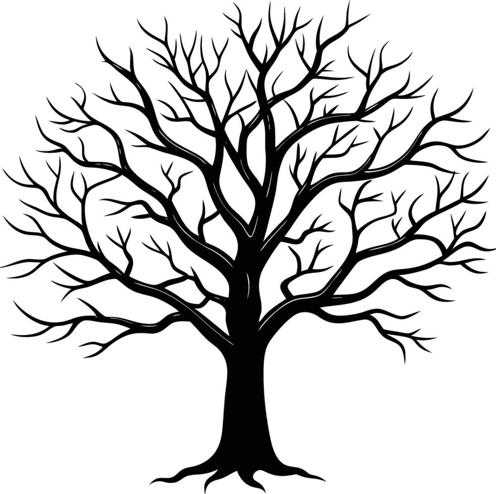 A black and white bare tree silhouette with no leaves vector