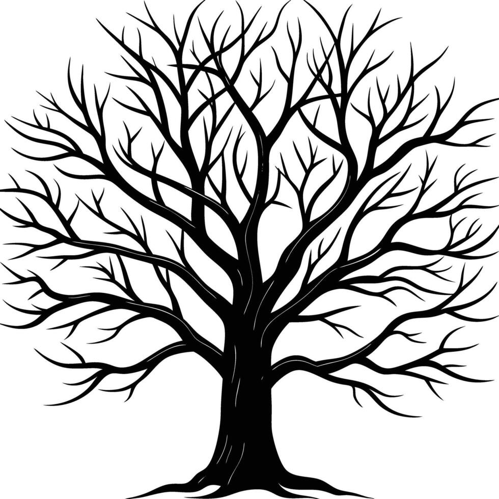 A black and white bare tree silhouette with no leaves vector