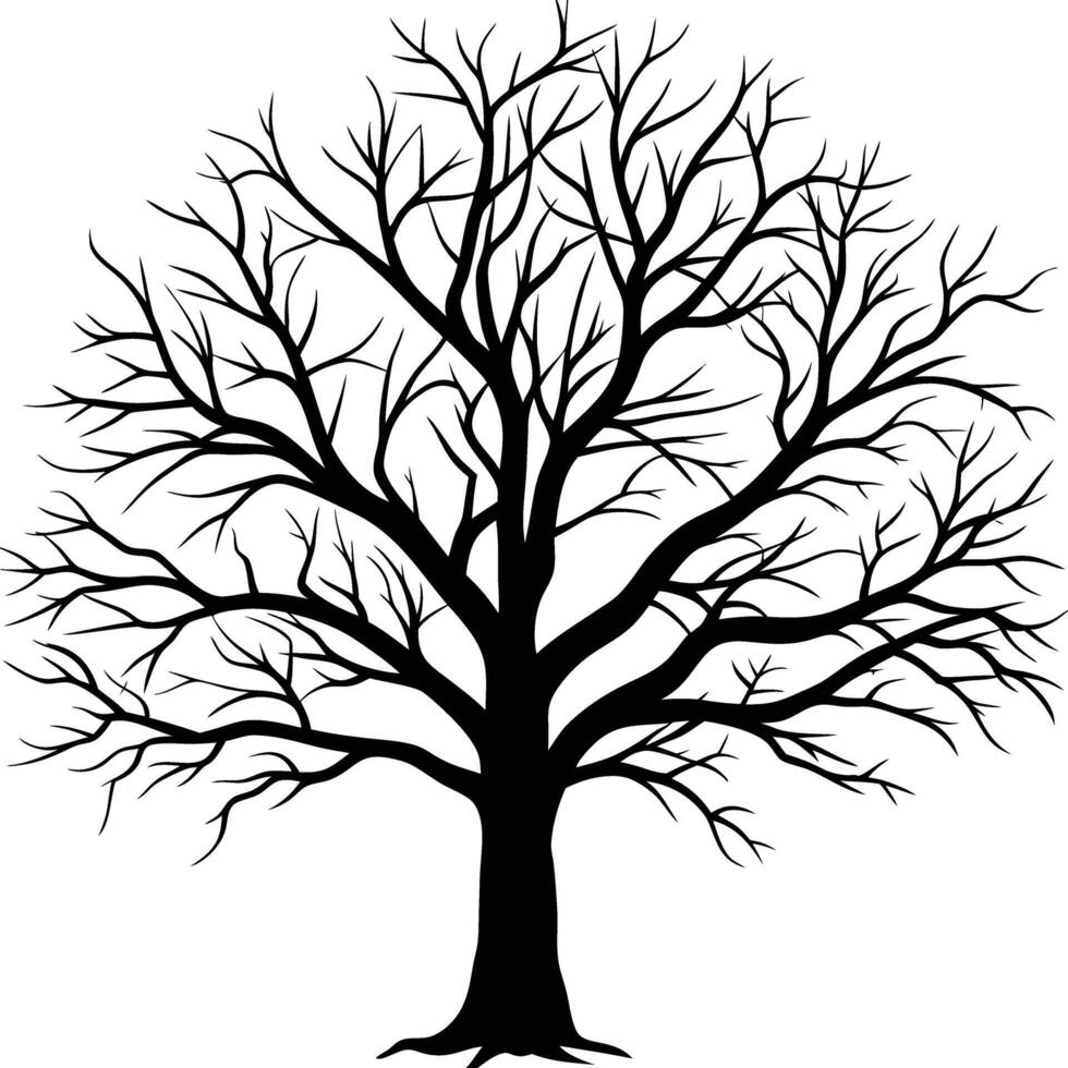 A black and white bare tree silhouette with no leaves vector