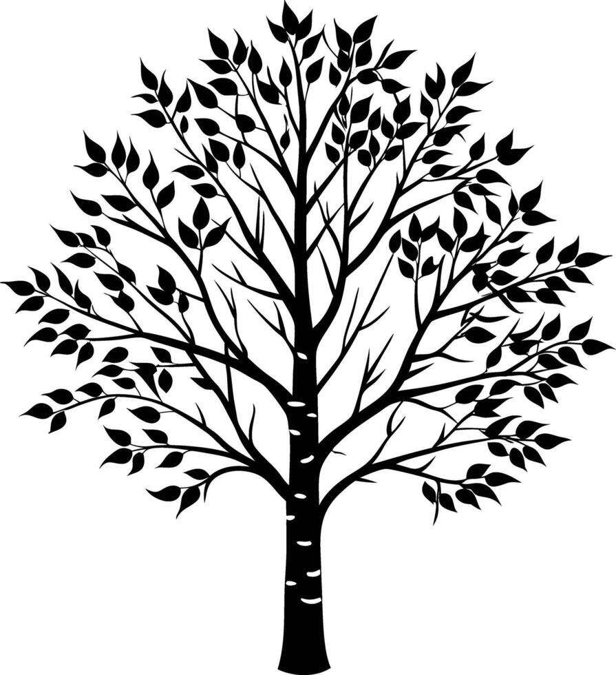 A black and white birch Tree Silhouette with leaves vector