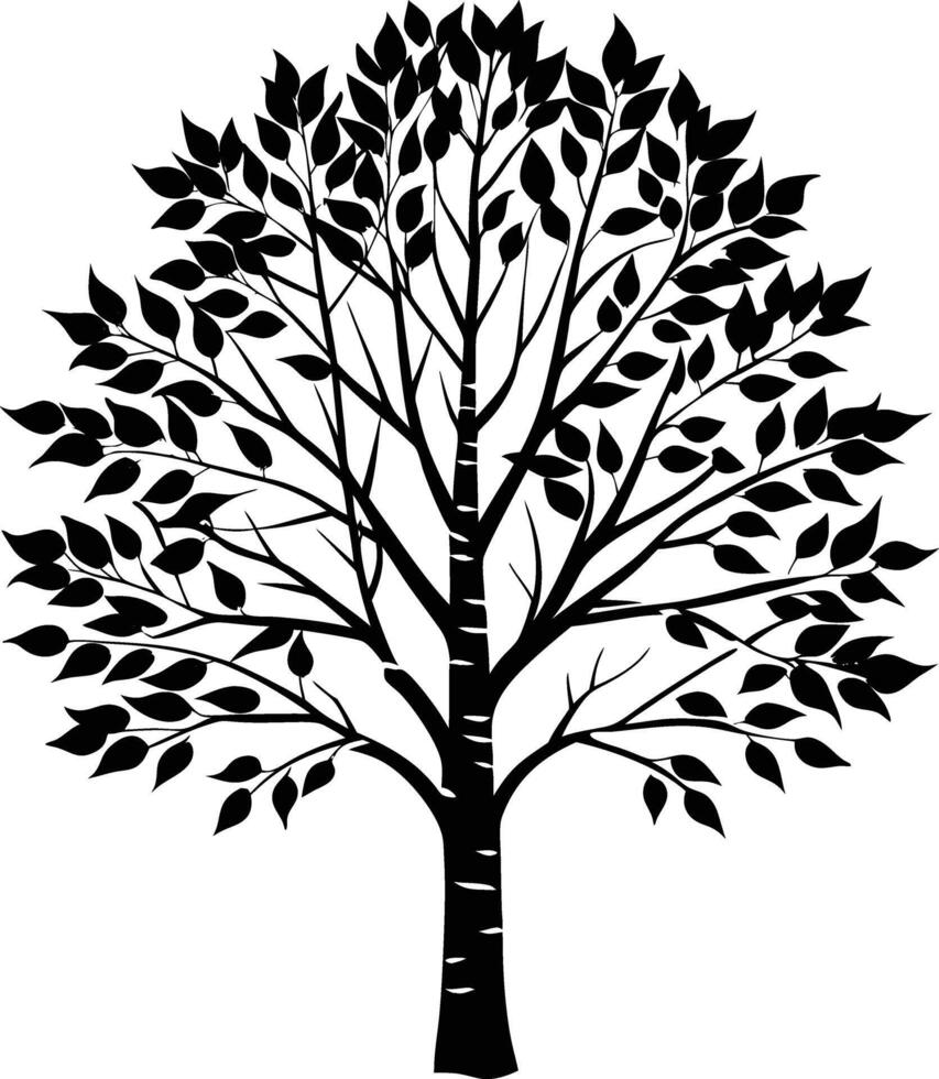 A black and white birch Tree Silhouette with leaves vector