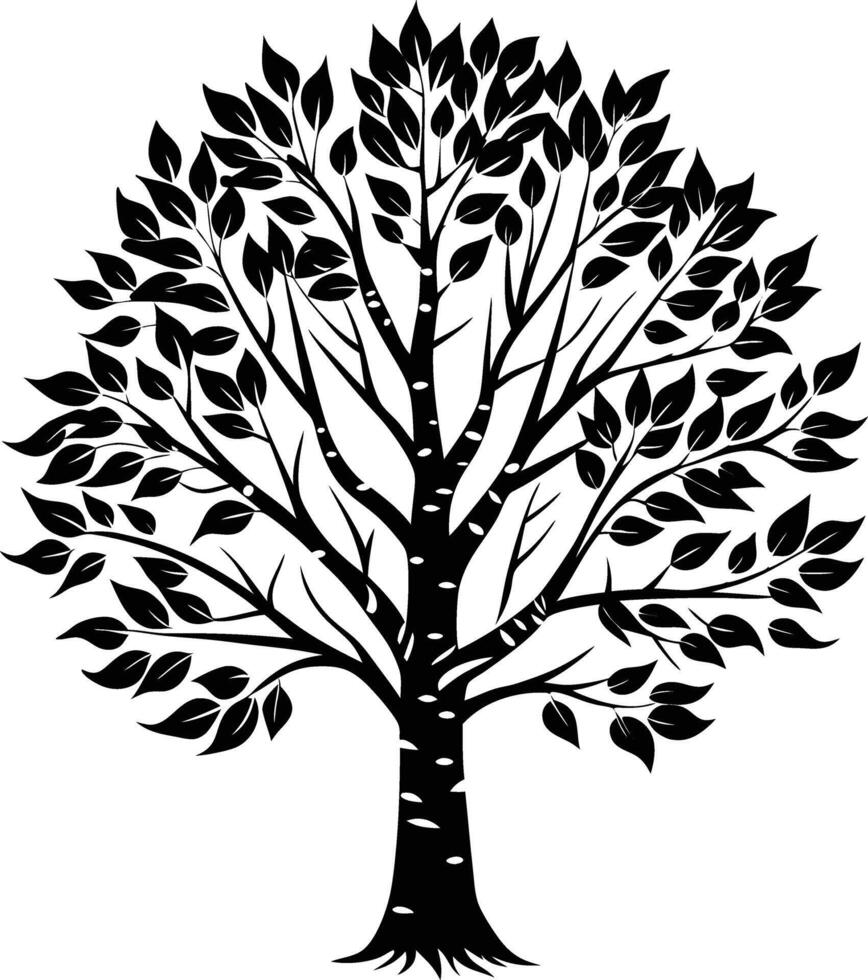 A black and white birch Tree Silhouette with leaves vector