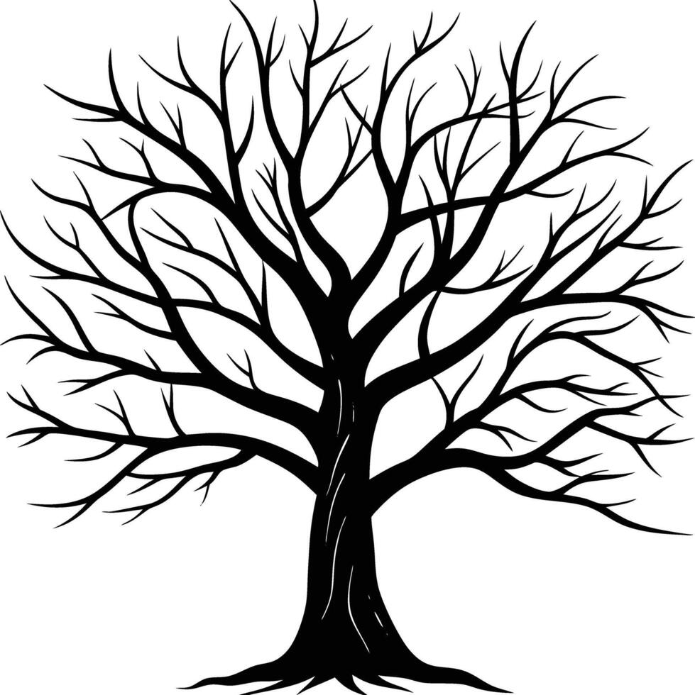 A black and white bare tree silhouette with no leaves vector