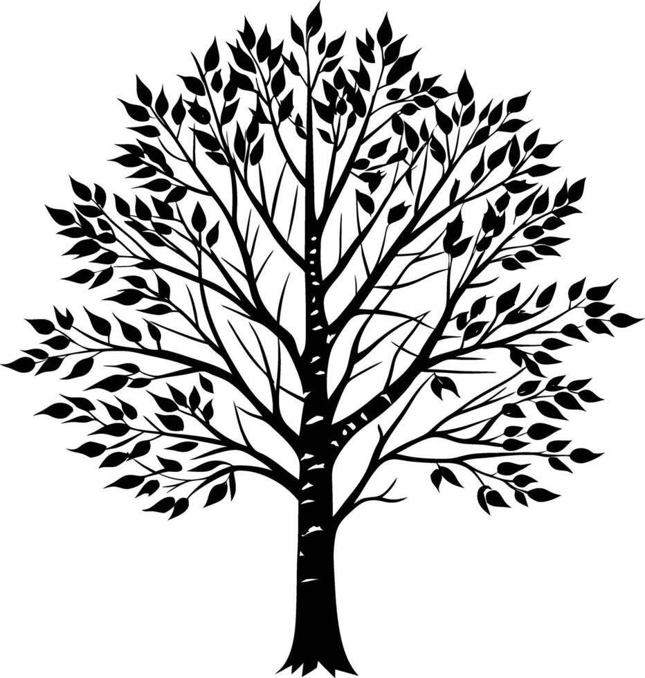 A black and white birch Tree Silhouette with leaves vector