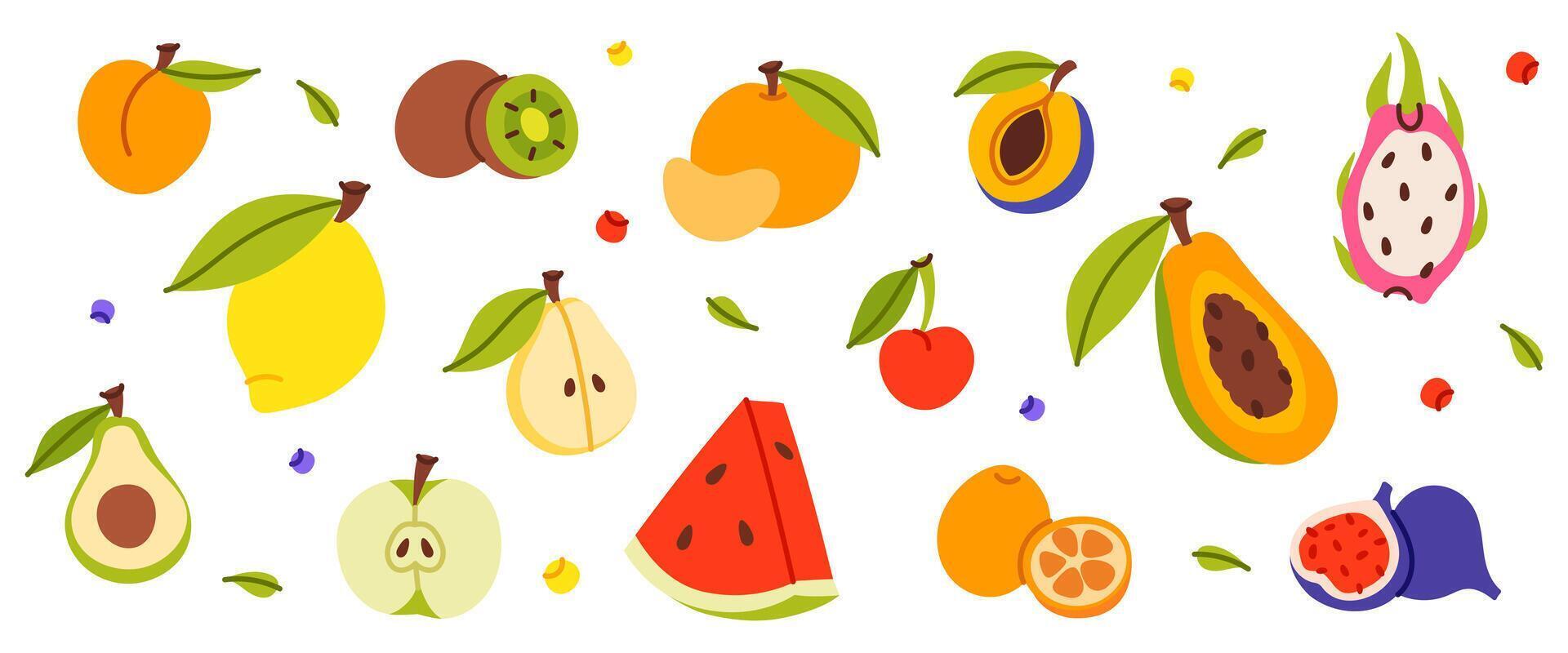 Set of different fruits and berries vector