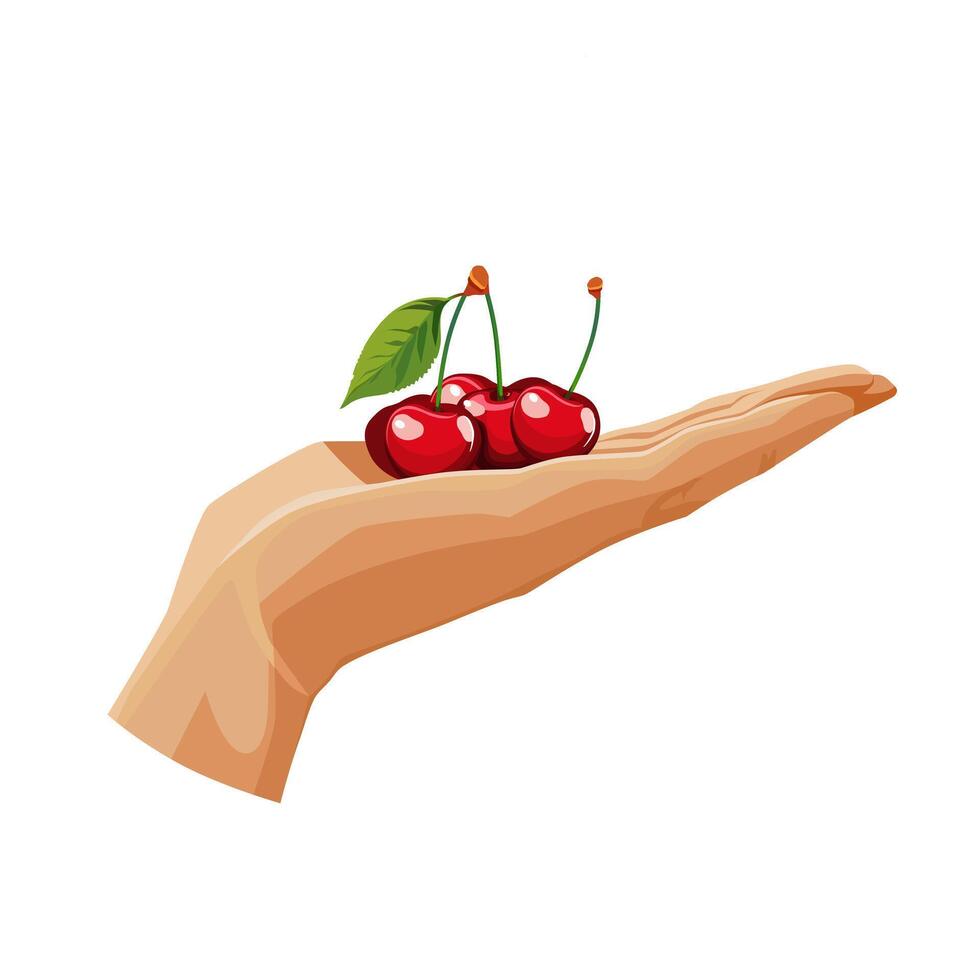 Freshly and healthy red cherry in the palm of the hand isolated on white background. illustration in flat style with dietary fruit. Clipart for card, banner, flyer, poster design vector