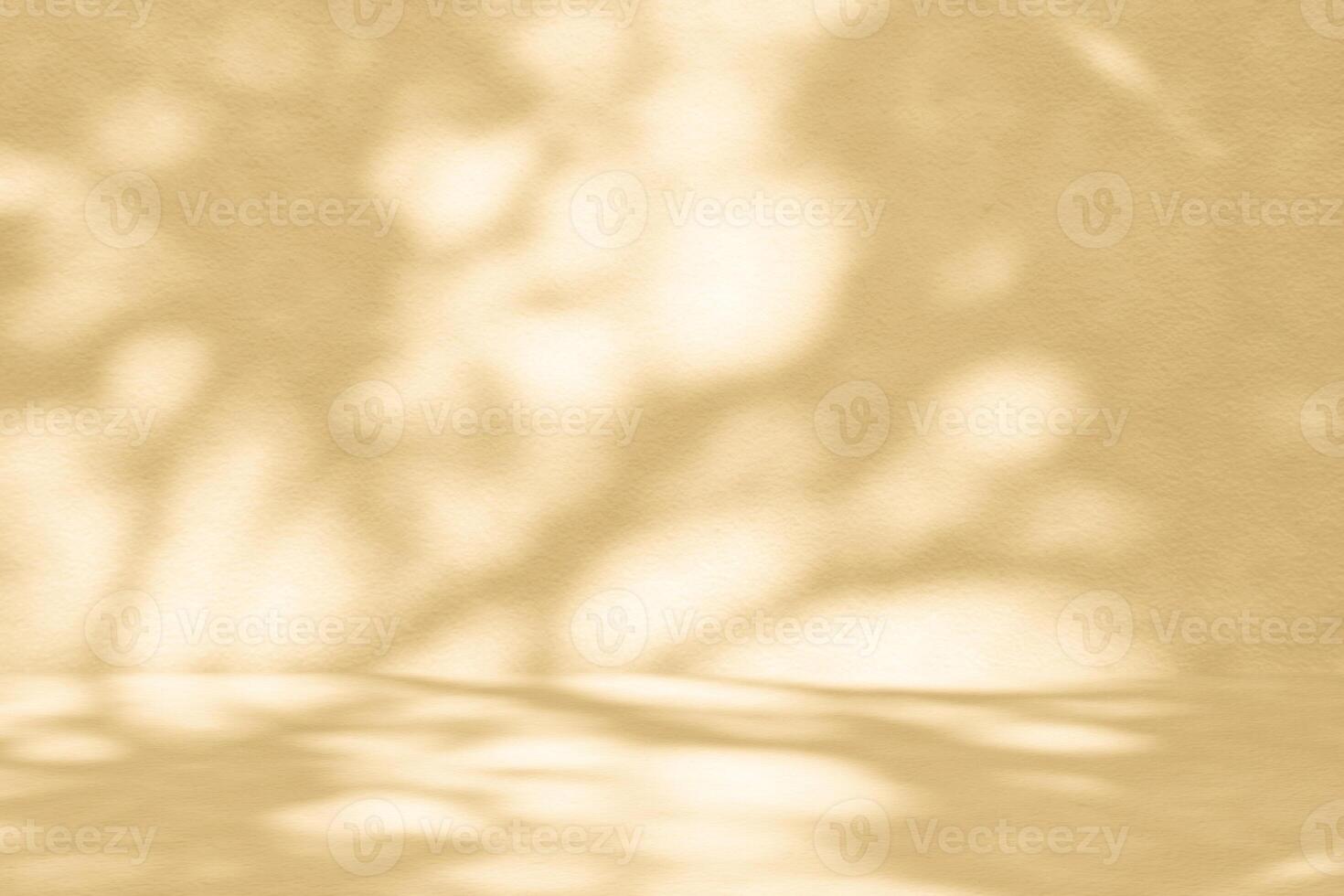 Brown Room with Nature Shadow on Concrete Wall Texture Background photo