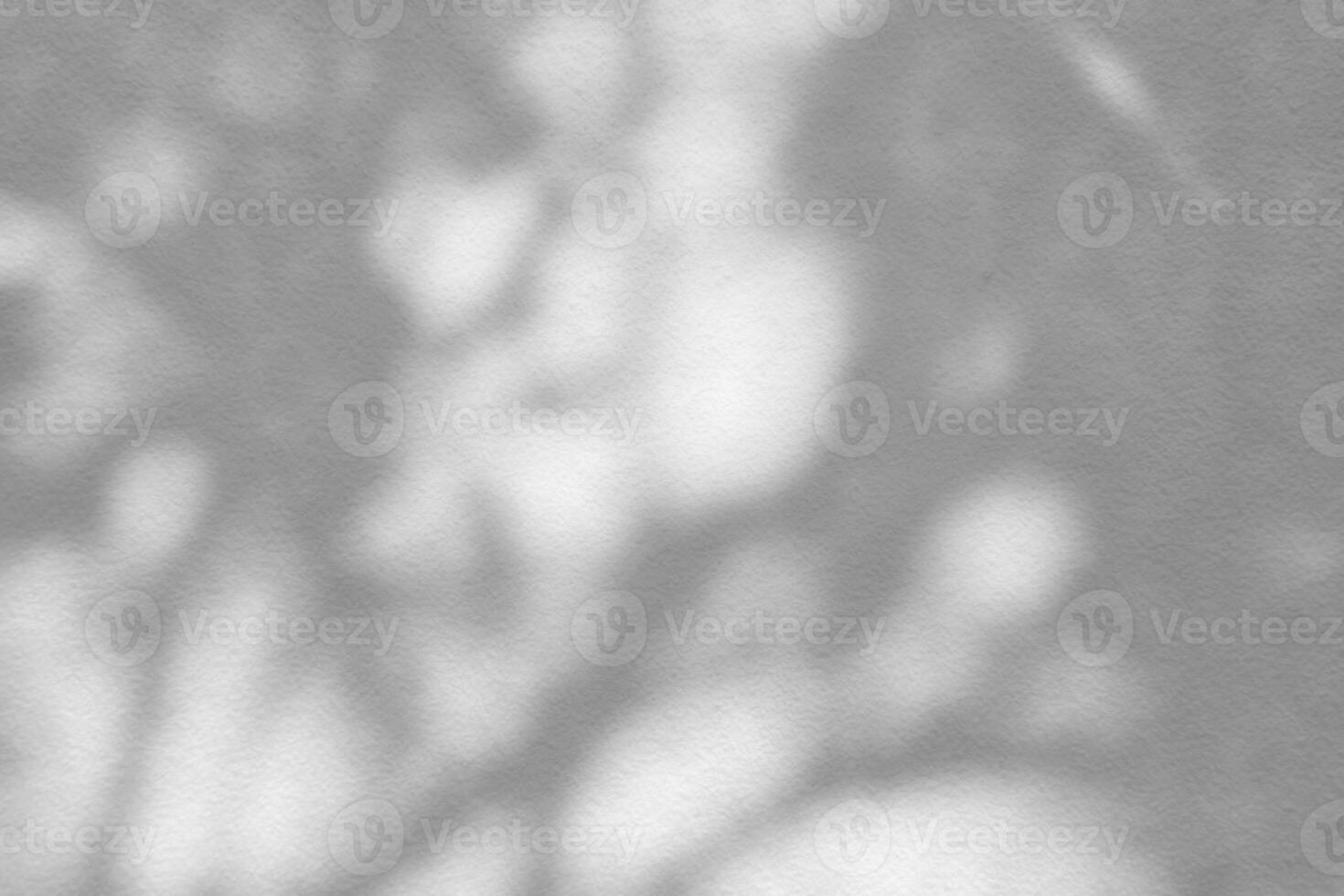 Flower and Leaves Shadow on White Concrete Wall Background. photo