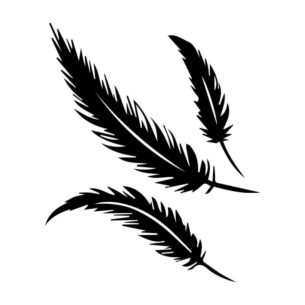 Feathers. Set of black silhouettes of feathers illustration vector