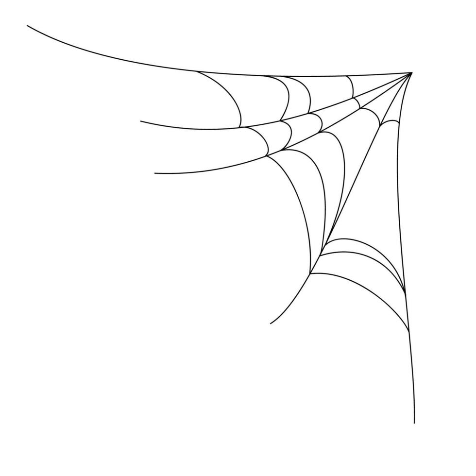 spider web background for hallowen design. spider web line art vector