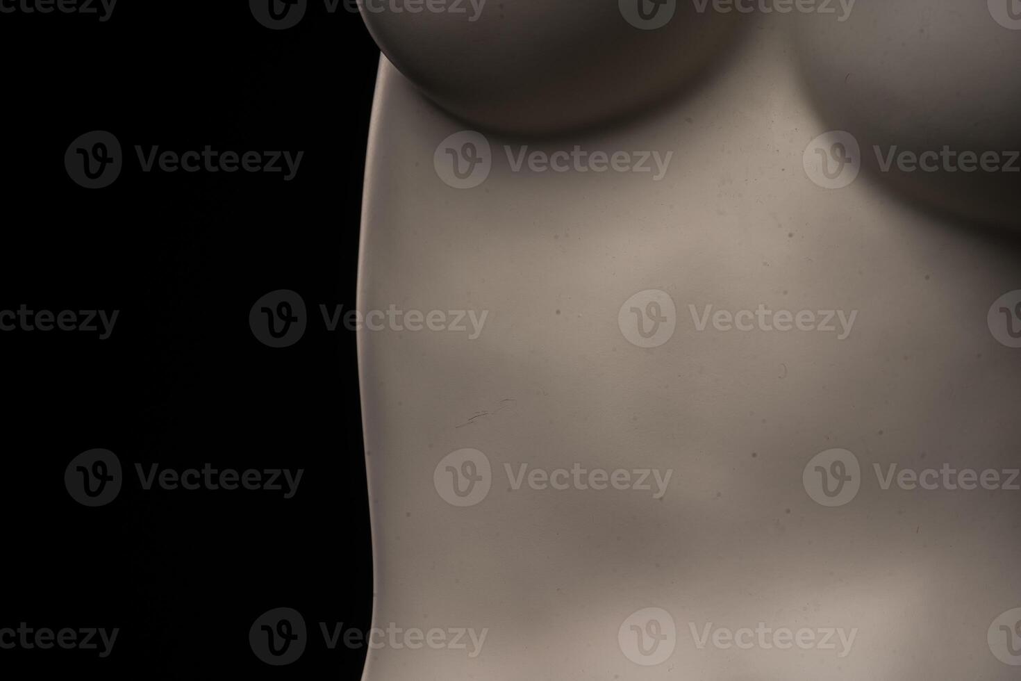 plastic female mannequin torso isolated photo