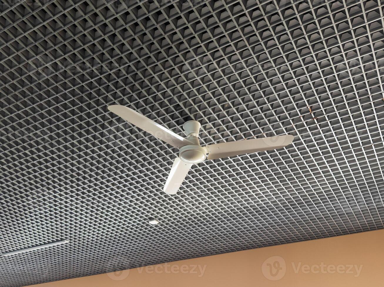 fan in the school class photo