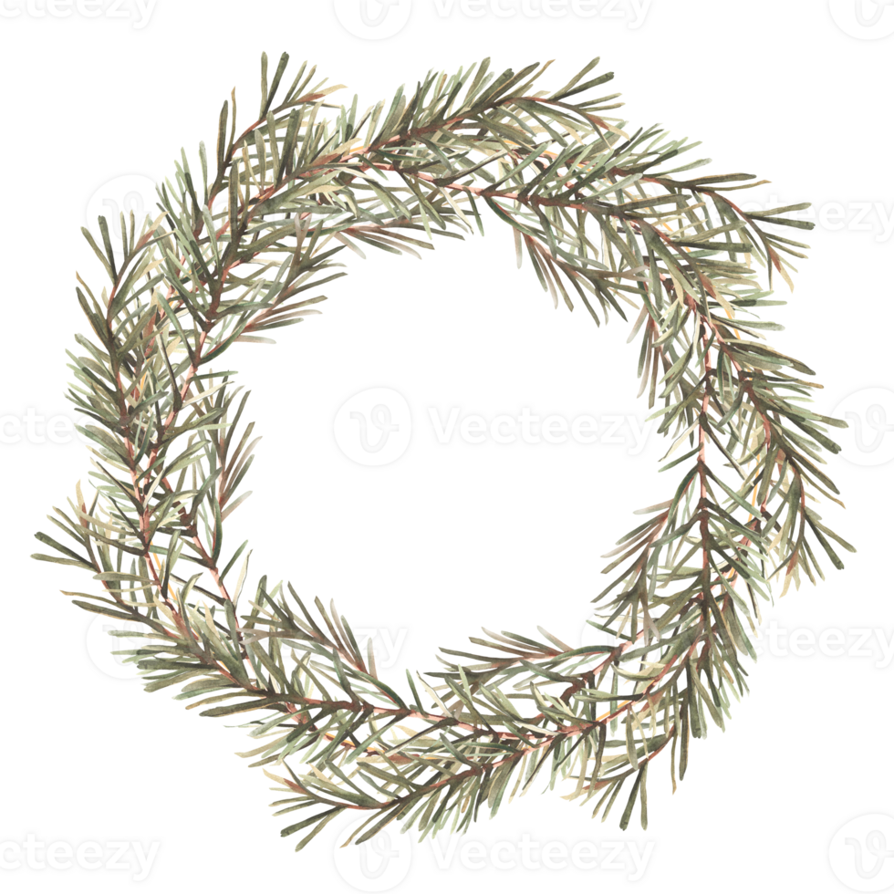 Spruce branch wreath. Natural circle frame with pine tree branches. Winter greenery, Christmas fir tree sticker or card template. Watercolor hand drawn illustration Clipart on isolated background. png