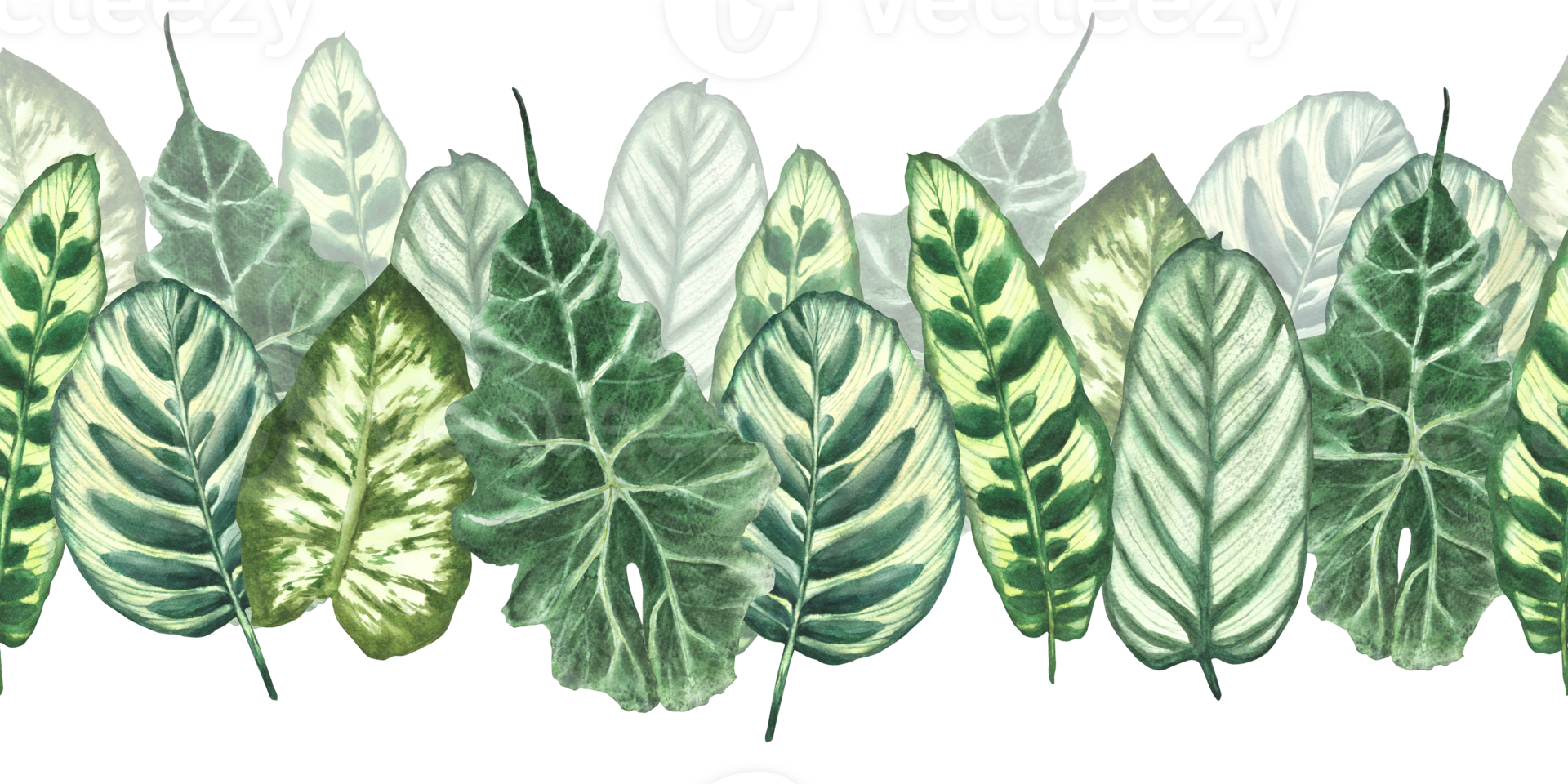 Tropical leaves watercolor seamless border. Jungle plants. Summer green realistic plant leaf, foliage. Hawaiian horizontal repeat flat pattern. Hand drawn illustration. Clipart on isolated background png