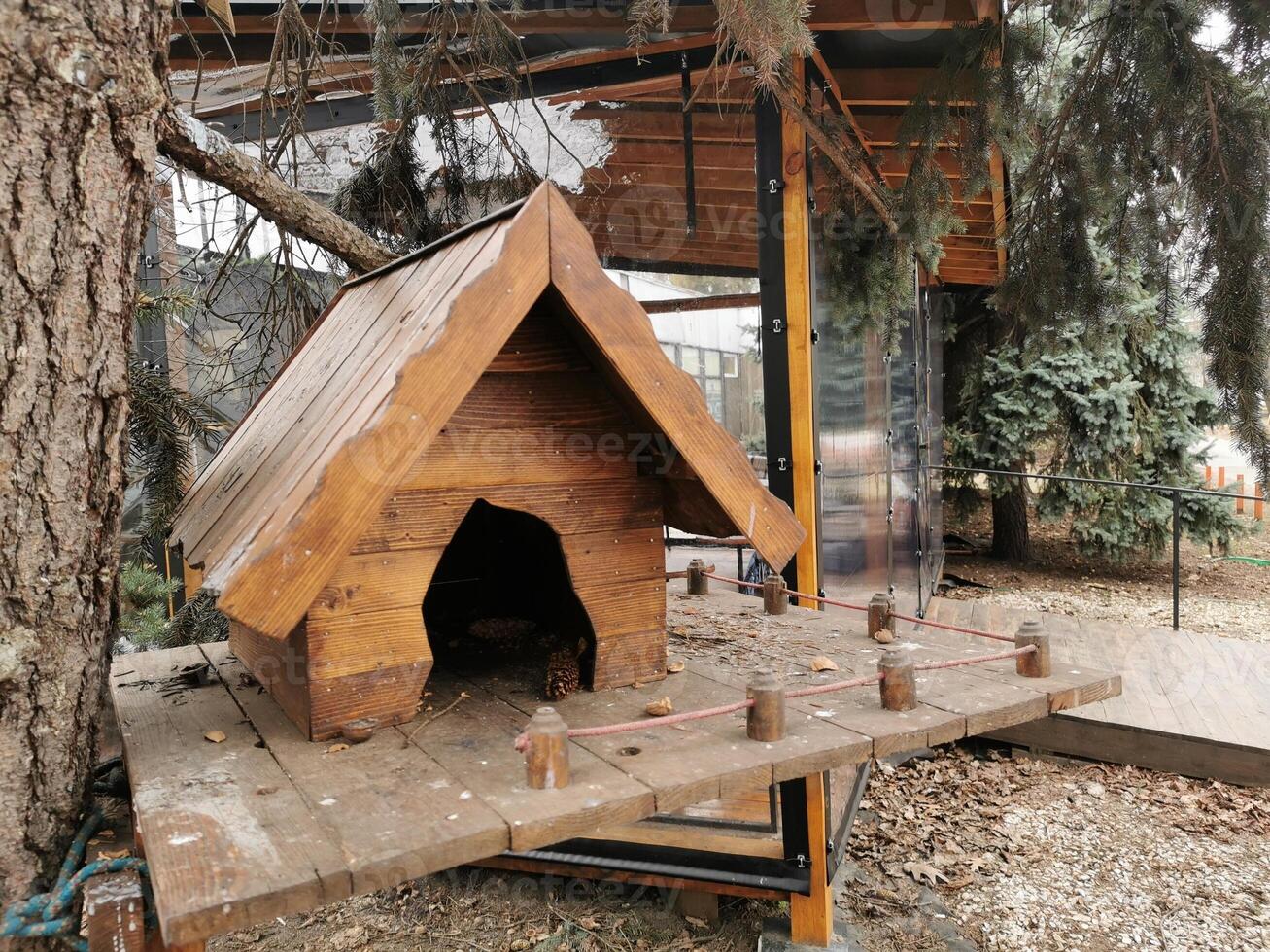 house in the forest for animals and birds. Wooden bird house in the summer park. on an tree stump. Old wooden feeder for birds on a tree, empty bird's feeder caring about wild birds in cold season. photo
