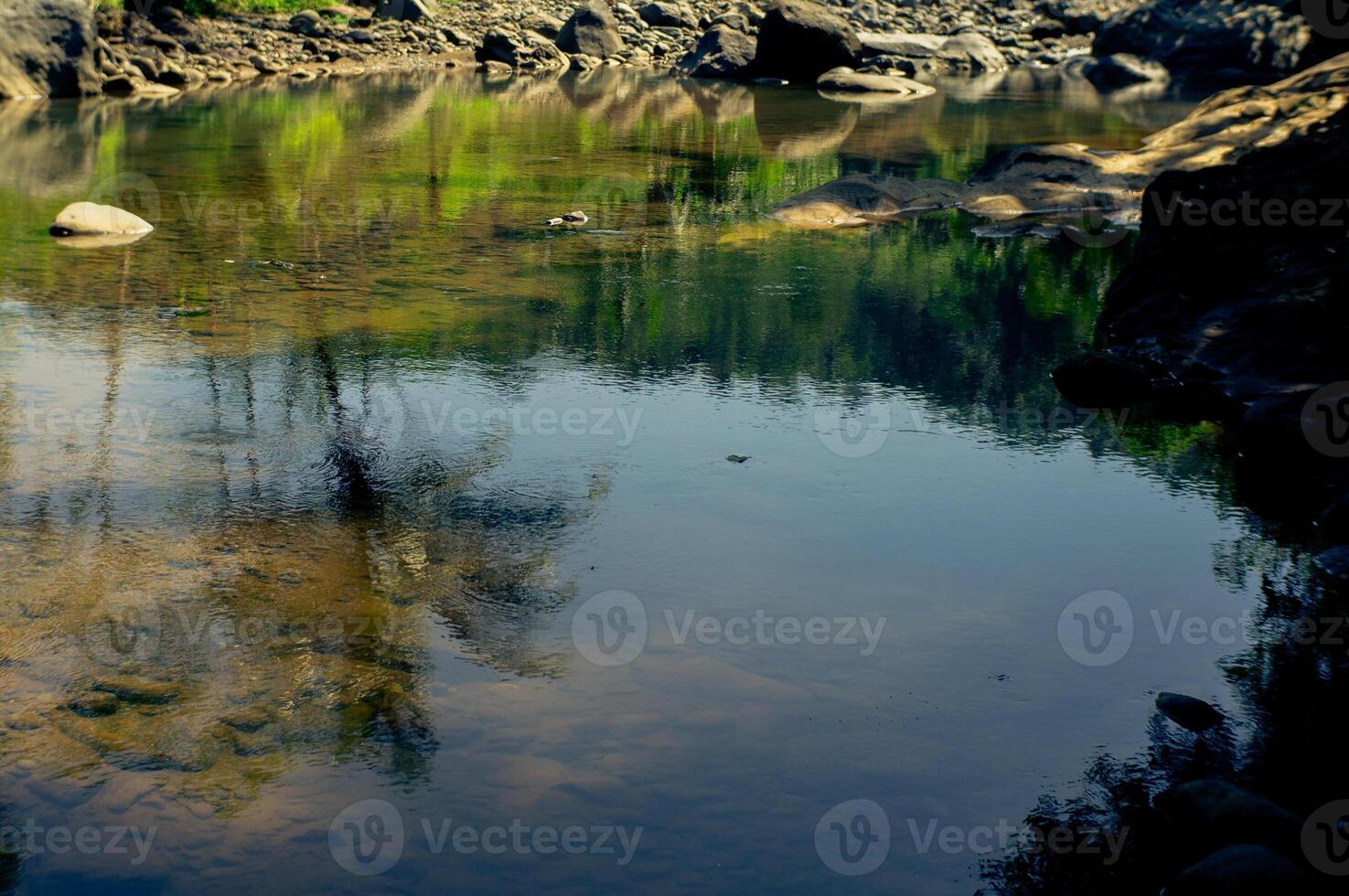 beautiful and cooling river with trees and rocks photo