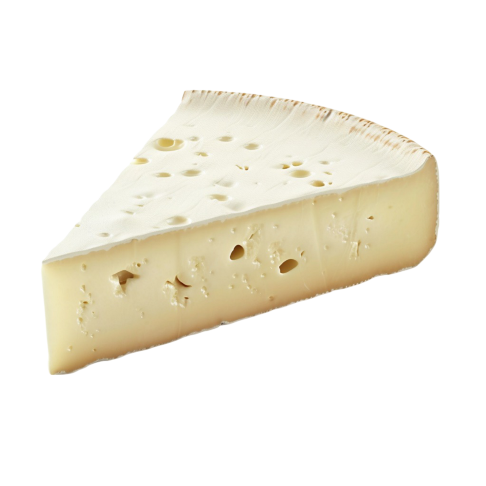 Cheese Slice on Clear Background. png