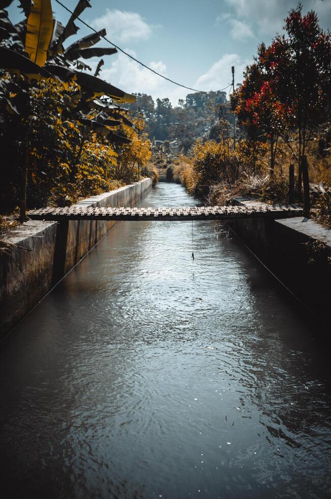 traditional bamboo bridge in the village photo