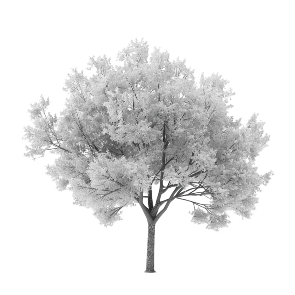 Tree in infrared on transparent background. png