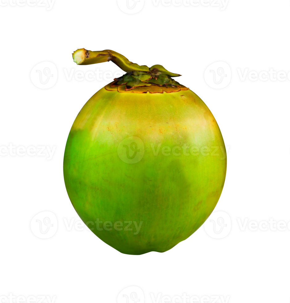 Coconut isolated on a transparent background png