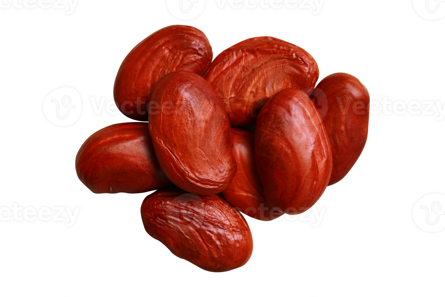Jackfruit seed isolated on a transparent background png