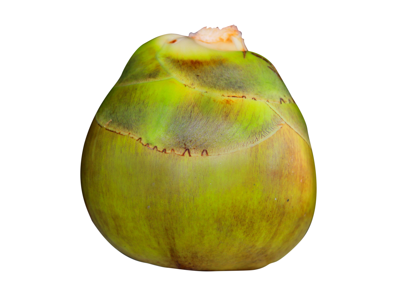 Ice Apple is isolated on a transparent background png