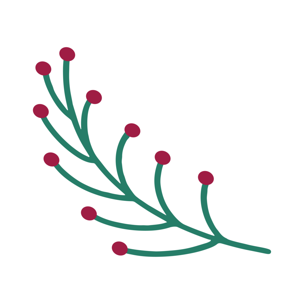 sprig with berries png