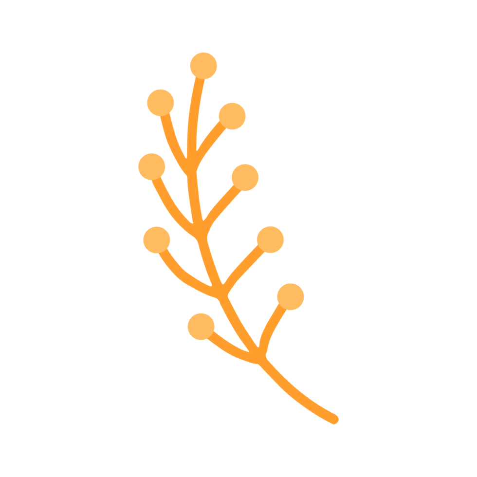 sprig with berries png