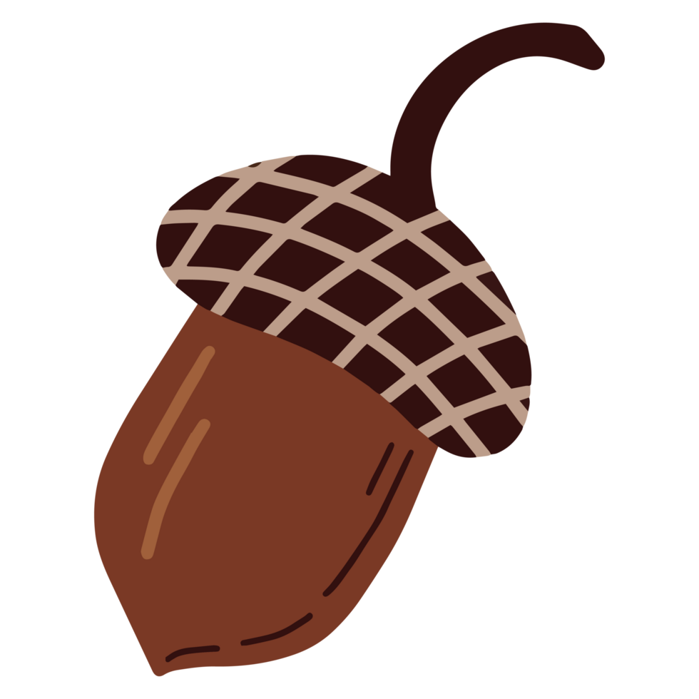 Forest nut illustration png