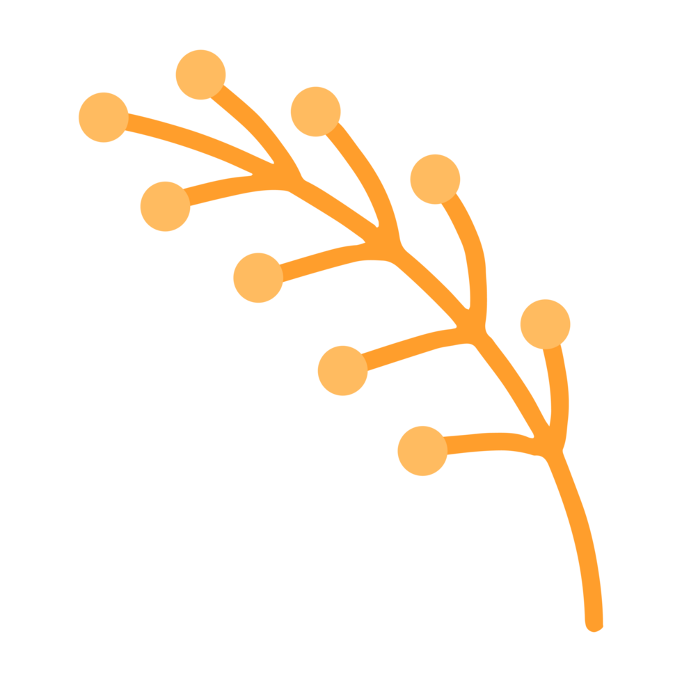 sprig with berries png