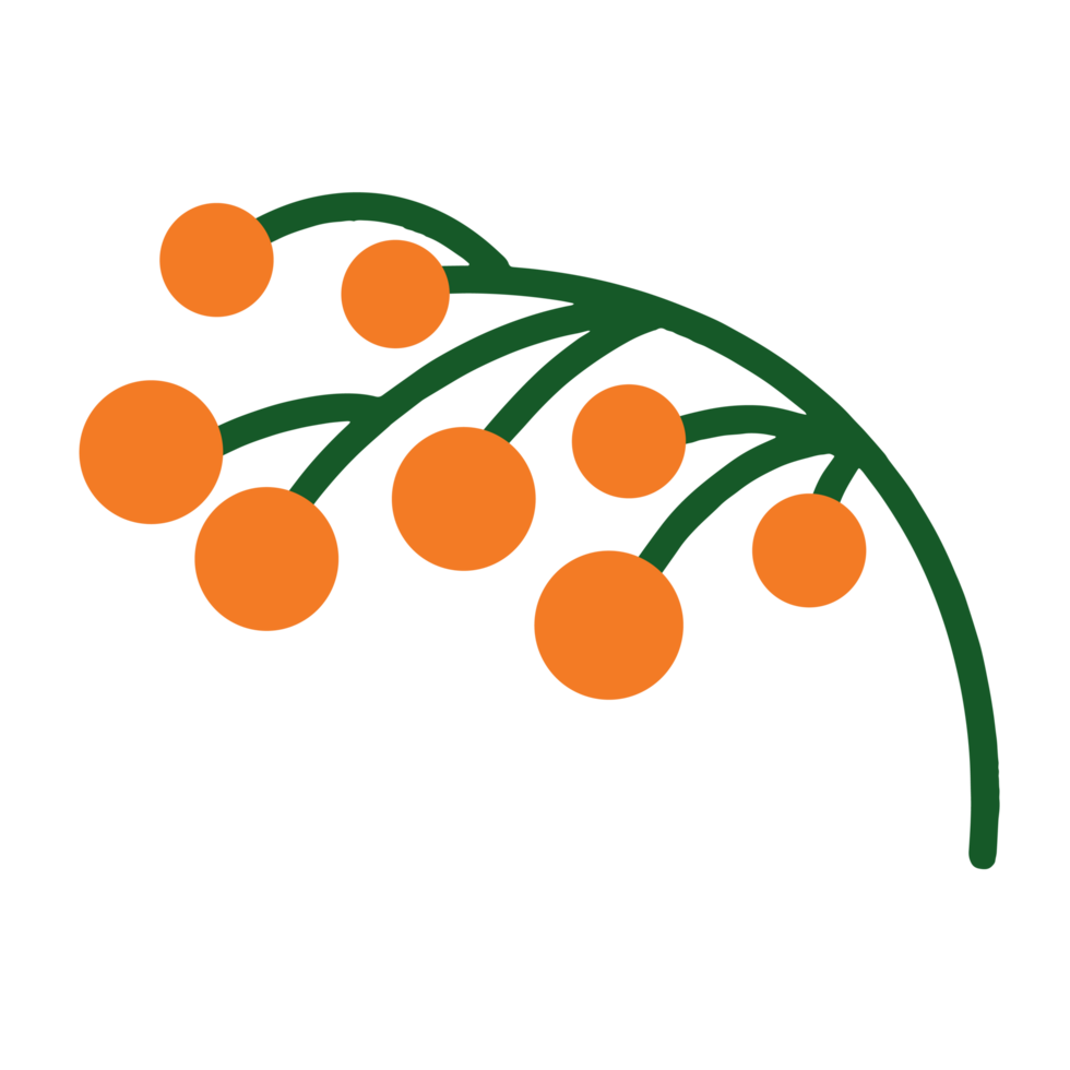 sprig with berries png