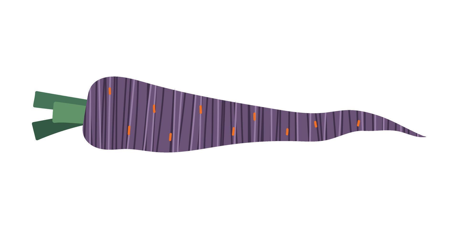 Purple striped carrots. Stylized abstract vegetable. Isolated illustration for your design vector
