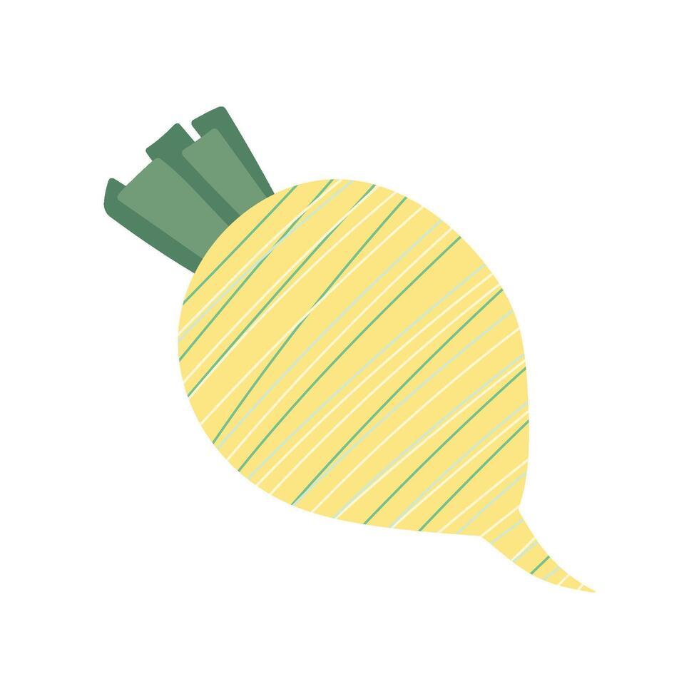 Abstract striped radish. Stylized vegetable. Isolated illustration for your design vector