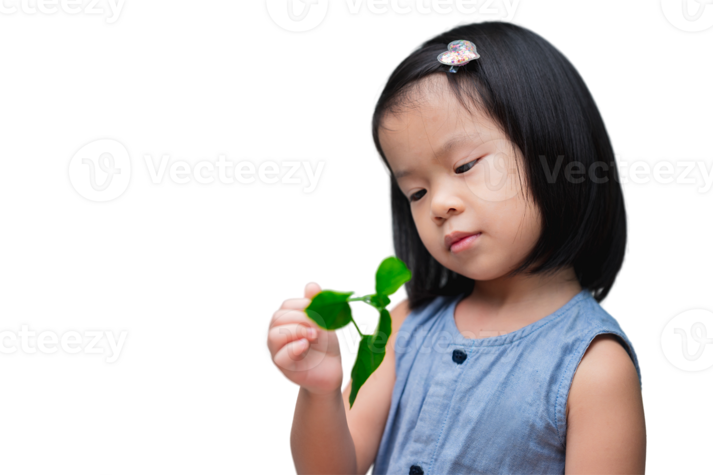 A smiling child holding a green leaf tree. A child loves nature, admires the beauty of tree leaves. Take care of our world. Environmental Conservation Day. Save the world. Isolated background. png