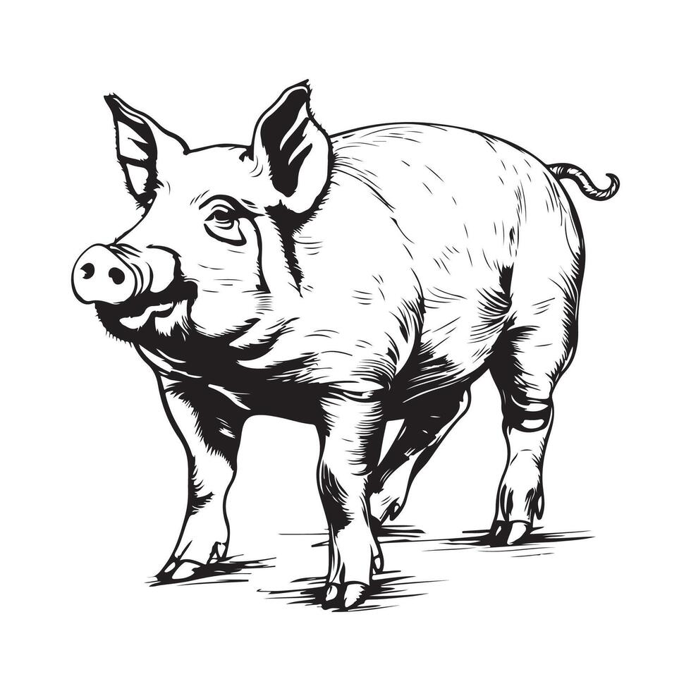 Pig farm hand drawn sketch Design illustration isolated on white vector
