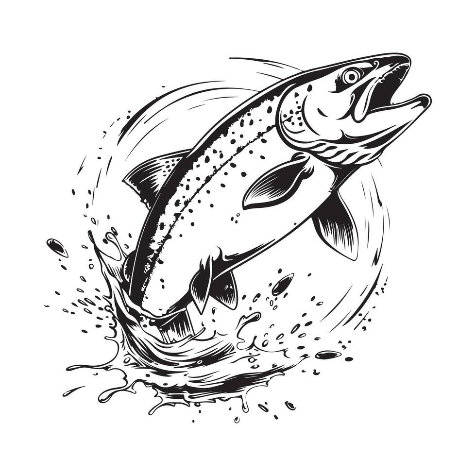 Jumping salmon fish illustration isolated on a white background vector