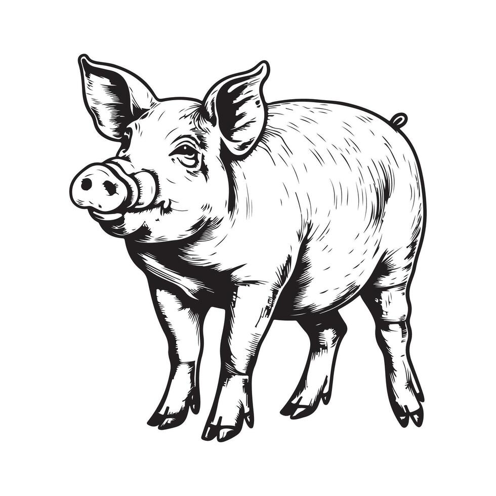 Pig farm hand drawn sketch Design illustration isolated on white vector