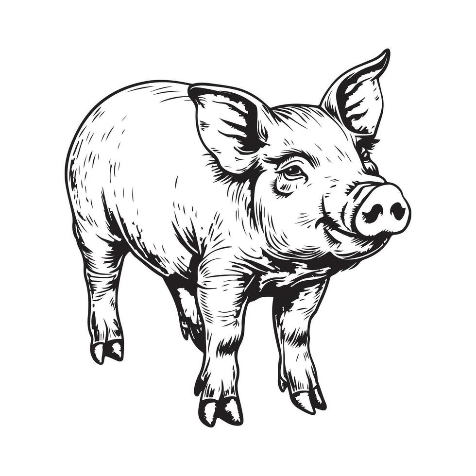 Pig farm hand drawn sketch Design illustration isolated on white vector
