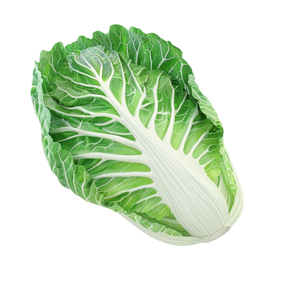 a cabbage is shown on a transparent background Generative-AI png