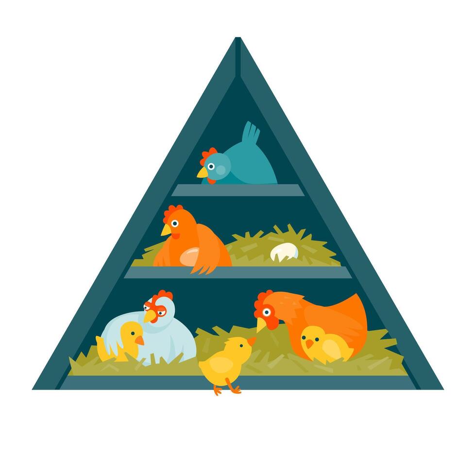 Henhouse in shape of triangle with funny birds illustration cartoon style vector