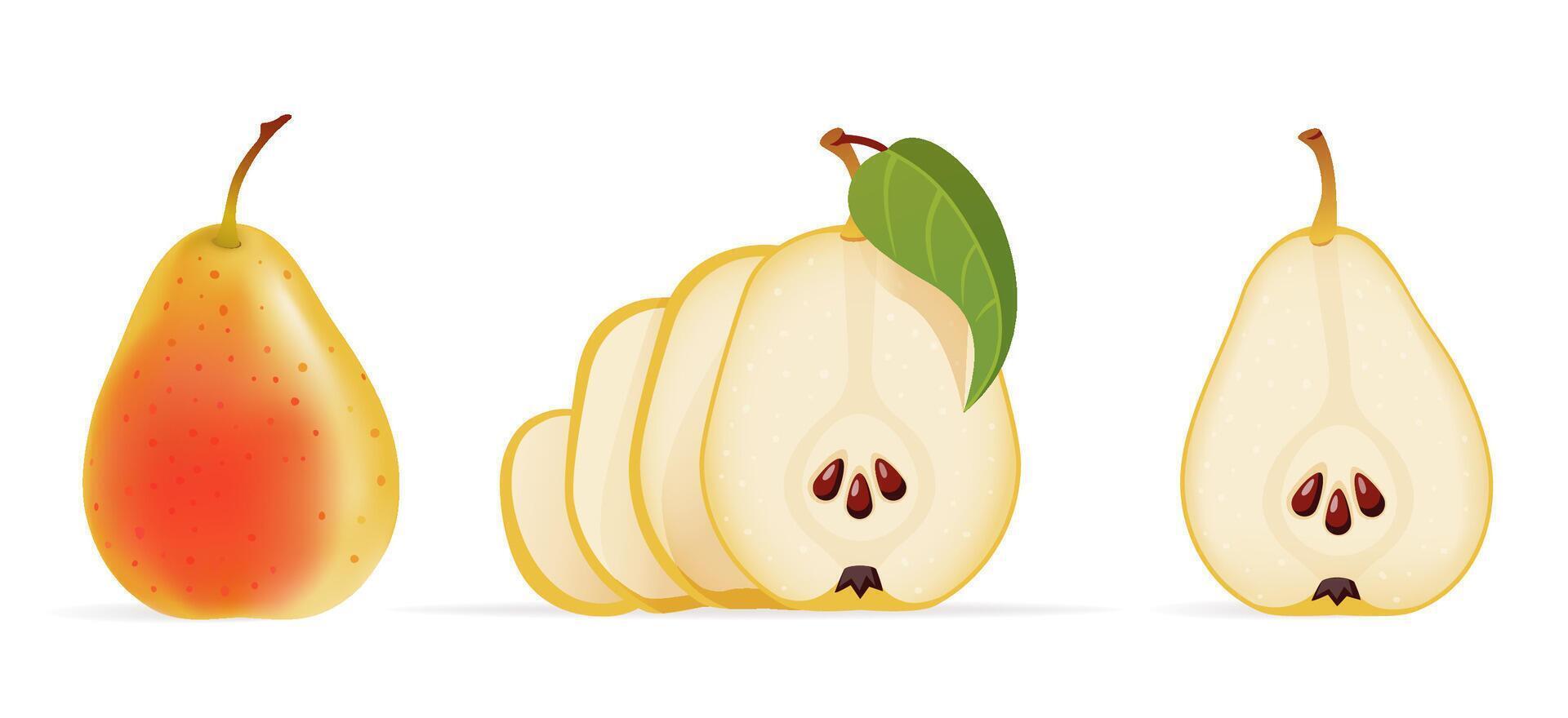 Sliced ripe pears with green leaf isolated on white backrgound illustration vector