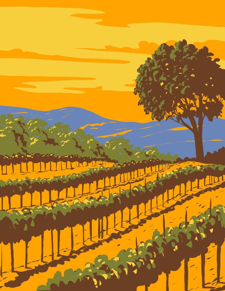 Vineyard in Sonoma Valley Wine Region Northern California WPA Poster Art vector